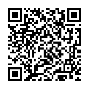 那是每一名商修者把身上所得精品进献换取回归总部资格的盛会二维码生成