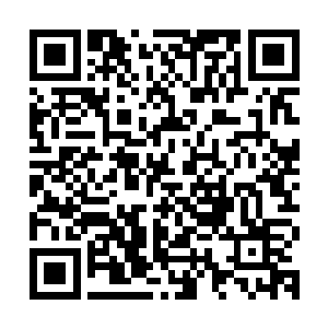 那是箭支的余劲还没有完全散去……秦方的力量也是相当可怕的二维码生成