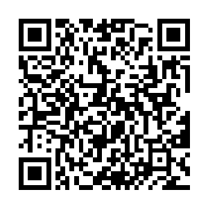 那是绑架我…请你不要用坚持和改过绑架我要挟我了二维码生成