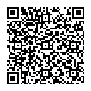那是野狼城堡在紧急状态下用来召唤所有试炼学生马上回到野狼城堡的最紧急的命令二维码生成