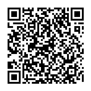 那是黑水玄蛇利用自己的手段抵挡住了大宗师级高手的袭杀而产生的效果二维码生成