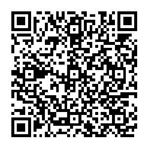 那暴跳如雷的神态跟在地球上逼王世子去高考时结果惨遭拒绝时的模样完全是一模一样二维码生成