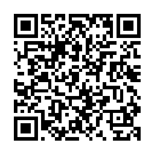 那最美的一块冰雕据说是一位半步主宰的强者死后留在这里的二维码生成