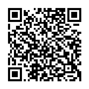 那最起码可以排除是因为醒狮大闹三月党总部而引起的报复行动二维码生成