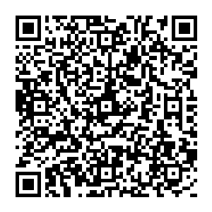 那杀气之强　一点也不弱于风清扬的煞气　几乎就要凝结为实质　在月空中发出一声凄厉的咆哮二维码生成