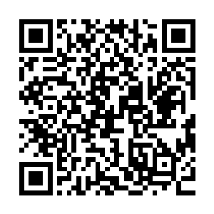 那条原本在众修士眼中就是雕刻在祭台上的巨龙猛然飞离了祭台二维码生成