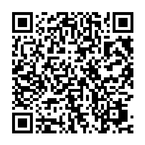 那条在白兰手里被他玩弄了无数次的触手也无法再引起她的兴趣了二维码生成