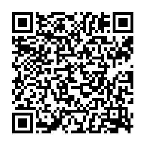 那极度寒冷的白色气息猛然从那打开了一丢丢的门缝中生生被推挤出来二维码生成