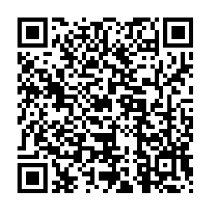那林绯虞听到许紫烟不上课是为了给她研究傀儡术的定向攻击问题二维码生成