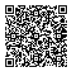那枚属于血妖姬本源的紫红色魂种在脱离黑仔掌心之后落在了一旁稍矮的一片十米长的白色叶子上二维码生成
