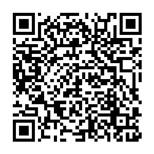 那株小草以为杨风觉得混天塔和磨天塔融合之后会脱离杨风的掌控二维码生成