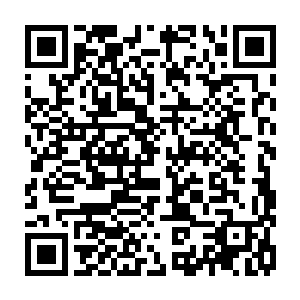 那株小草的心里面实际上也是明白杨风为何听到这样的消息会没有任何的兴奋二维码生成