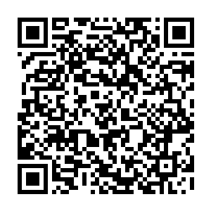 那样的不真实……但结果却是这些小弟全都被秦方送去了敬爱处堆起了人墙二维码生成