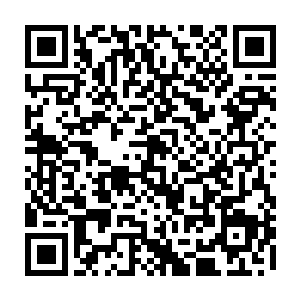 那样的撕心裂肺的痛苦只怕是她这样曾经受过专业的刑讯训练的人也无法承受二维码生成