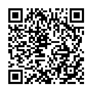 那样的话对于百花牌的实力提升会起到十分重要的作用二维码生成