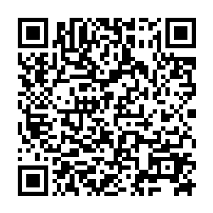 那样的话就会坐实别人的猜测然后让坏人的计划得逞――你是想表达这种观点吗二维码生成