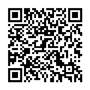 那根本不是他们这些实力最强不过领主级的墨族能够对抗的二维码生成