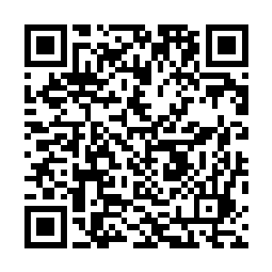 那次是谈及天一道和两宗门的合作成功后举办的欢庆宴会二维码生成