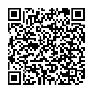 那海底灵堡之中所拥有的宝藏说不定就会有上古时代修真者所留下的仙丹二维码生成