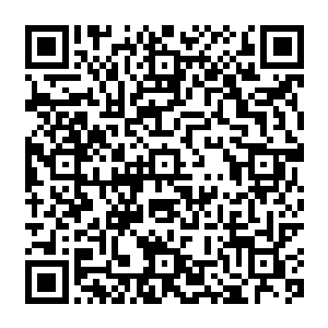 那源自于虎魄刀上的锋锐刀光和那源自于投影之枪上的凌厉枪芒便狠狠地撞击在了一起二维码生成