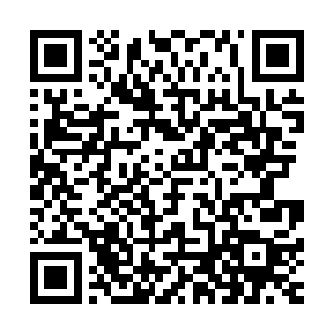 那满地的丧尸和异形血肉便好像是被某种可怕病毒侵蚀了一般二维码生成