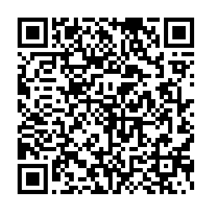 那潜伏在朕的朝廷之中的叛徒李成华在临死之前的那一眼也是看着你二维码生成