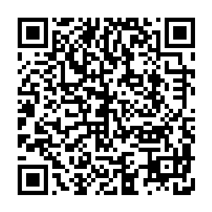 那片唯一的关于墨梓熏的记忆碎片被厚厚的冰晶包裹外围全是锋利的冰刺二维码生成
