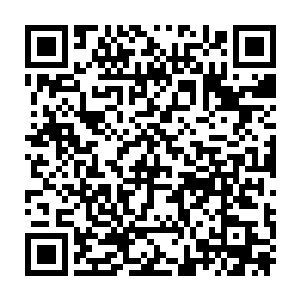 那片由无数破碎山石堆积而成的废墟就好像是引爆了一颗重磅炸弹一样二维码生成