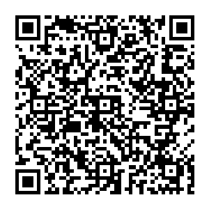 那猛烈的灼热之感 焚烧他的全身 一寸一寸的炼化 从双手 再到双脚 最后焚烧全身 一点也不放过二维码生成