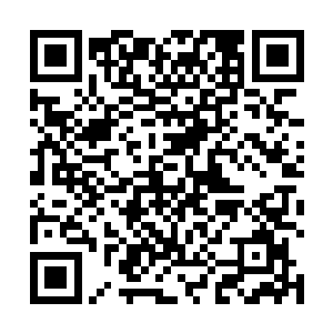 那猿猴模样的妖兽忽然从鼻孔之中喷出一个重重的哼声二维码生成