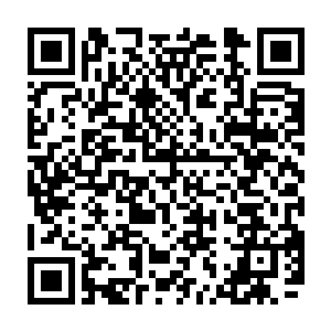 那璀璨刀芒也将北狱鬼王的左臂给斩出了一道如同被烙铁烙出一般的刀痕二维码生成