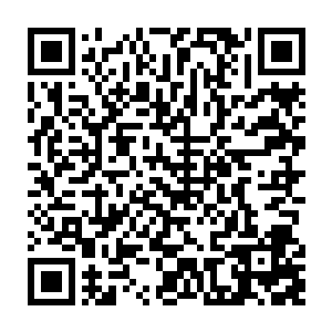 那生无可恋的样子让白兰觉得十分新奇――他还是第一次在猫脸上看到这幅表情二维码生成