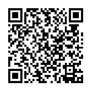 那生物刚才偷袭他们的是无数有一米长大拇指粗细的冰箭二维码生成