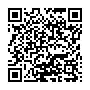 那男子恼羞成怒的声音伴随着简单的五行诀火球袭向流墨墨二维码生成