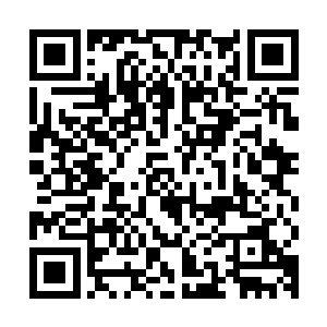 那看似不牢靠的盾牌竟然将公爵实力的撒切尔发出的流光挡住了二维码生成