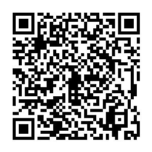 那看似黝黑但是实则幽光迷绚宛若琥珀的眼眸反而让他们无法查获正确的虚实二维码生成