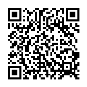 那看样子以后三百磅这样刚达到捕捉标准的鱼你就不准备要了二维码生成