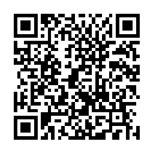 那瞬间变成的血色长鞭狠狠的把海水抽开了一道破碎的裂痕二维码生成