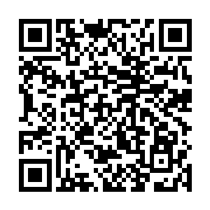 那砰砰跳动的心脏和迅速流动的血液是唐铮最后的堡垒二维码生成