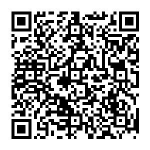 那硕大的手掌也是凶悍无比的拍了下来……而梵天那四张脸也都是完全变得狰狞了起来二维码生成