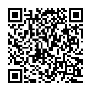 那碎掉的结界屏障果然从破碎的边缘开始正在一点点自我修补着二维码生成