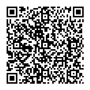 那种只顾着想要利用现在有利条件发展一些条件较好的县域在苏燕青看来是一种自私而又短视的表现二维码生成