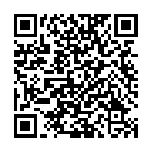那种境界的可怕存在也不是我们可以对付的……再说了二维码生成