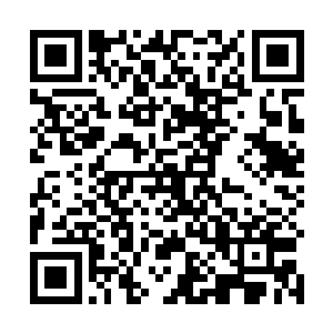 那种感觉使得他们再也不敢对小金产生什么不满的心理二维码生成