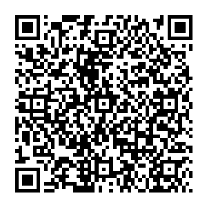 那种无法掩盖的戾气让风清扬心惊倒不是害怕而是其中包含的埋怨以及深深地恨几乎到了无法化解的地步二维码生成