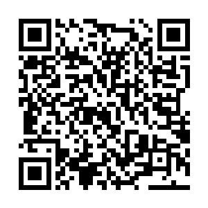 那种被毒蛇俯瞰藐视的寒冷从自己的脊梁骨这样慢慢升起来二维码生成