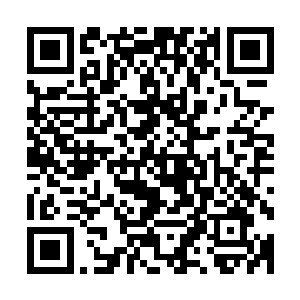 那种长期和陆为民生活在一起的方式反而很容易产生审美疲劳二维码生成