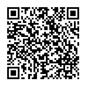那紧跟在他们身后的上百个纯血圣灵也纷纷在一阵阵咆哮和怒吼声中现出了原型二维码生成
