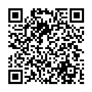 那红光的数量竟然和萧晨以前杀过的上位血魔都相差无几二维码生成