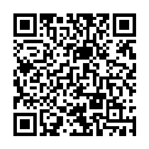 那细长锋利的毒牙朝着指挥官的脖颈咬了过去――二维码生成